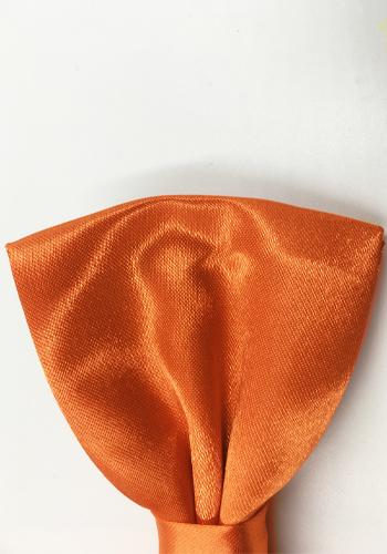 Orange butterfly vinge