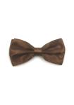 Brun butterfly