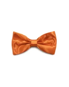 Orange butterfly