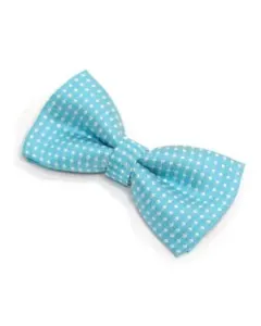 Turkis Børnebutterfly med prikker