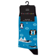 Pakke med Cool Pingvin Sokker – Blå 36–40