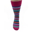 WiggleWag Socks fra front